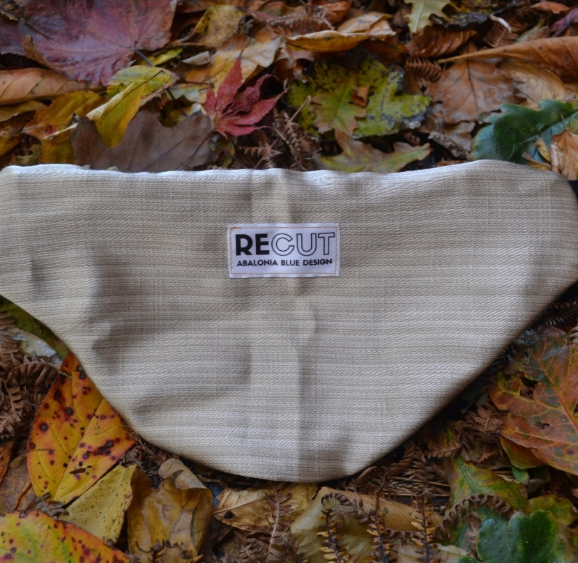 Autumn Collection - Silver Birch